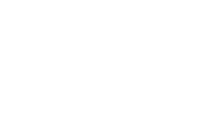 VIP Resort Properties, LLC